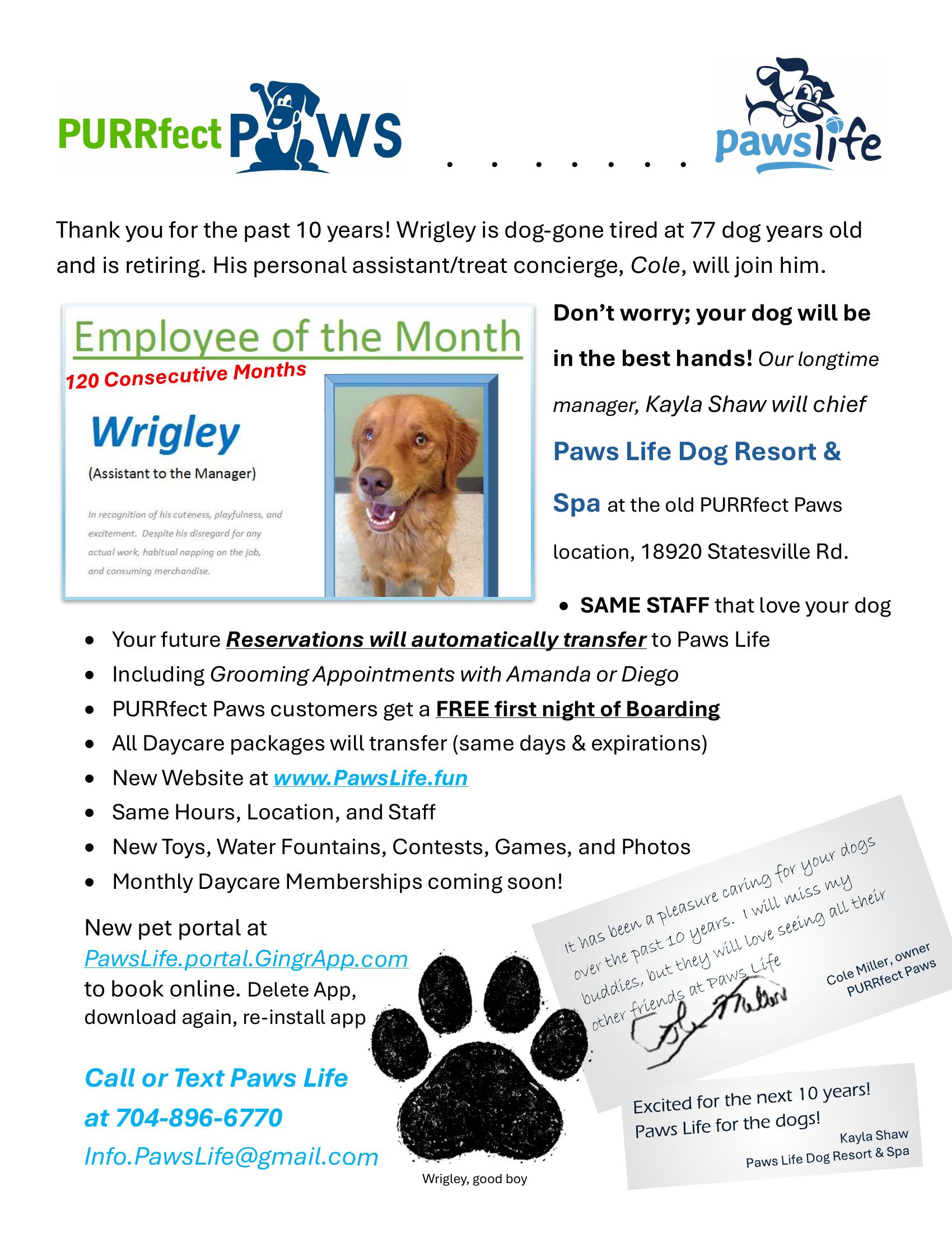 Paws Life Launch